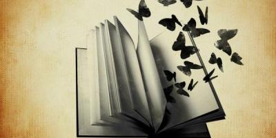 Platzhalter_Buch