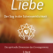 Unerfüllte Liebe – Der Sog in die Scheinwirklichkeit - Cover