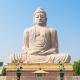 retreat-in-indien-mit-om-c-parkin